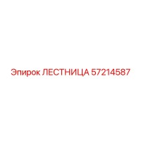 57214587 ЛЕСТНИЦА Epiroc