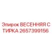 2657399156 ВЕСЕННЯЯ СТИРКА Epiroc