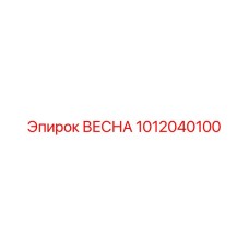 1012040100 ВЕСНА Epiroc