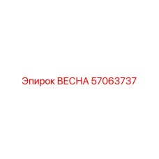 57063737 ВЕСНА Эпирок (Epiroc)