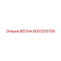 6001203700 ВЕСНА Epiroc
