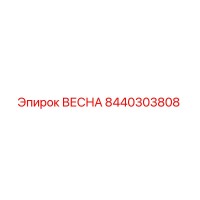 8440303808 ВЕСНА Epiroc