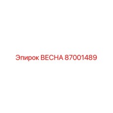 87001489 ВЕСНА Epiroc