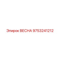 9753241212 ВЕСНА Epiroc