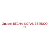 384500031 ВЕСНА-КОРАК Epiroc