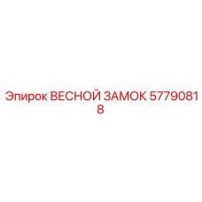57790818 ВЕСНОЙ ЗАМОК от Epiroc