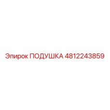 4812243859 ПОДУШКА Epiroc