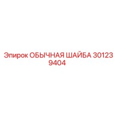 301239404 ОБЫЧНАЯ ШАЙБА Epiroc