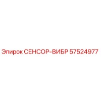 57524977 СЕНСОР-ВИБР Epiroc