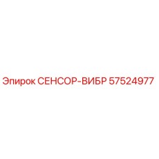 57524977 СЕНСОР-ВИБР Epiroc