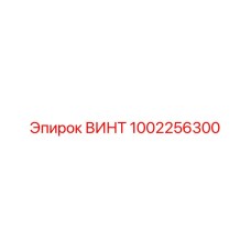 1002256300 ВИНТ Epiroc