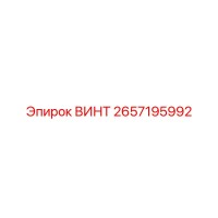 2657195992 ВИНТ Epiroc