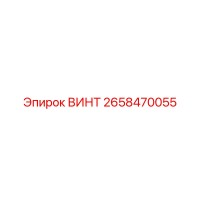 2658470055 ВИНТ Epiroc