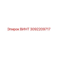 3092209717 ВИНТ Epiroc
