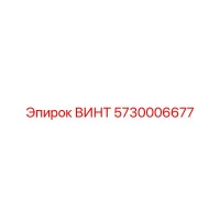 5730006677 ВИНТ Epiroc