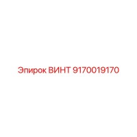 9170019170 ВИНТ Epiroc