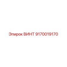 9170019170 ВИНТ Epiroc
