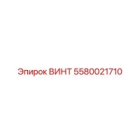 5580021710 ВИНТ | Epiroc