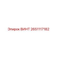 2651117182 ВИНТ Epiroc