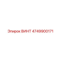 4749900171 ВИНТ Epiroc