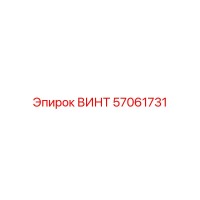 57061731 ВИНТ Epiroc