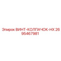 2695467981 ВИНТ-КОЛПАЧОК-HX Epiroc