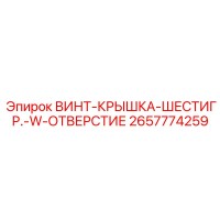 2657774259 ВИНТ-КРЫШКА-ШЕСТИГР.-W-ОТВЕРСТИЕ Epiroc