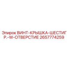 2657774259 ВИНТ-КРЫШКА-ШЕСТИГР.-W-ОТВЕРСТИЕ Epiroc