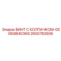 2650782606 ВИНТ С КОЛПАЧКОМ-0506SIB40369 Epiroc