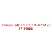 2657114688 ВИНТ С КОЛПАЧКОМ Эпирок