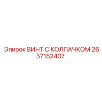 2657152407 ВИНТ С КОЛПАЧКОМ Эпирок