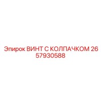 2657930588 ВИНТ С КОЛПАЧКОМ Epiroc
