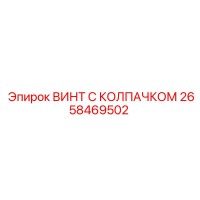 2658469502 ВИНТ С КОЛПАЧКОМ Эпирок