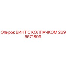 Оригинальный винт с защитным колпачком 2695571899 Epiroc
