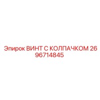 2696714845 ВИНТ С КОЛПАЧКОМ Эпирок (Epiroc)
