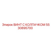 5530895700 ВИНТ С КОЛПАЧКОМ Epiroc