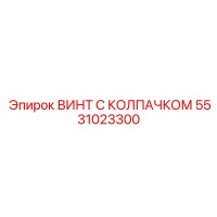 5531023300 ВИНТ С КОЛПАЧКОМ Эпирок