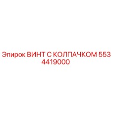 5534419000 ВИНТ С КОЛПАЧКОМ Epiroc