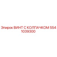 5541039300 ВИНТ С КОЛПАЧКОМ Epiroc