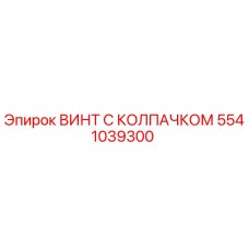 5541039300 ВИНТ С КОЛПАЧКОМ Epiroc