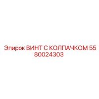 5580024303 ВИНТ С КОЛПАЧКОМ Epiroc