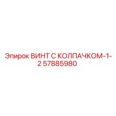 57885980 ВИНТ С КОЛПАЧКОМ-1-2 - Epiroc