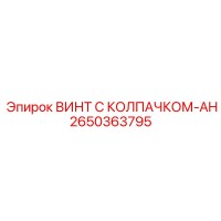 2650363795 ВИНТ С КОЛПАЧКОМ-AH Epiroc