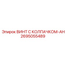 2695055489 ВИНТ С КОЛПАЧКОМ-AH Epiroc