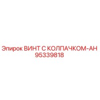 95339818 ВИНТ С КОЛПАЧКОМ-AH Epiroc