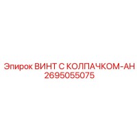 2695055075 Винт с колпачком-AH Epiroc
