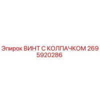 2695920286 ВИНТ С КОЛПАЧКОМ Epiroc