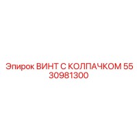 5530981300 ВИНТ С КОЛПАЧКОМ Epiroc