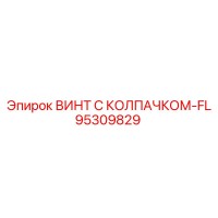 95309829 ВИНТ С КОЛПАЧКОМ-FL Epiroc