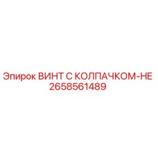2658561489 ВИНТ С КОЛПАЧКОМ-HE Epiroc